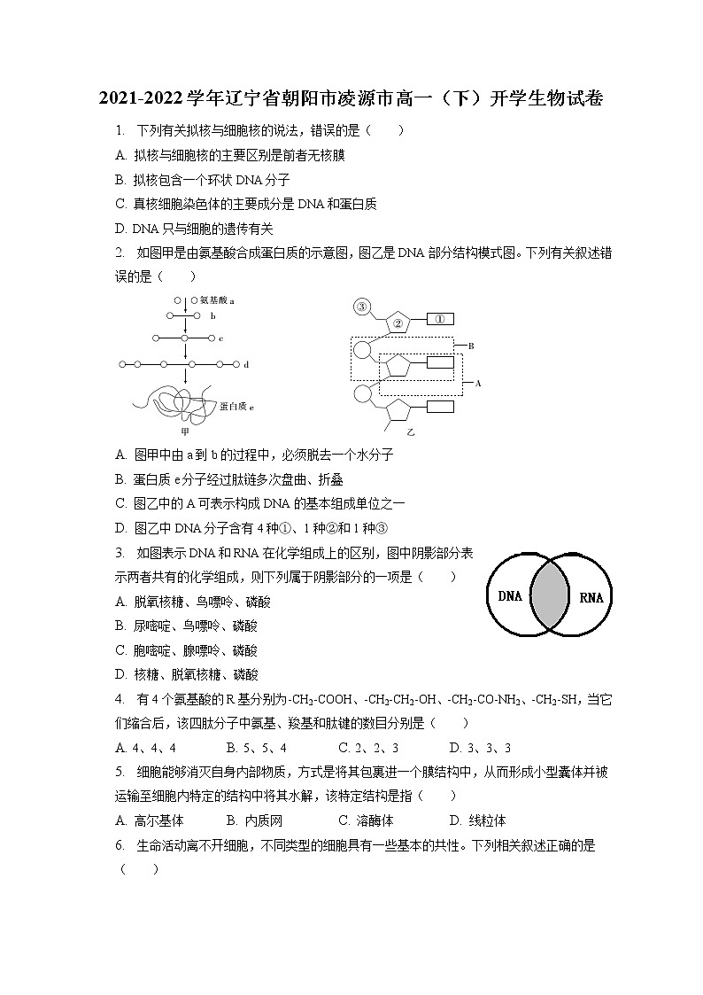 2021-2022学年辽宁省朝阳市凌源市高一（下）开学生物试卷（含答案解析）01