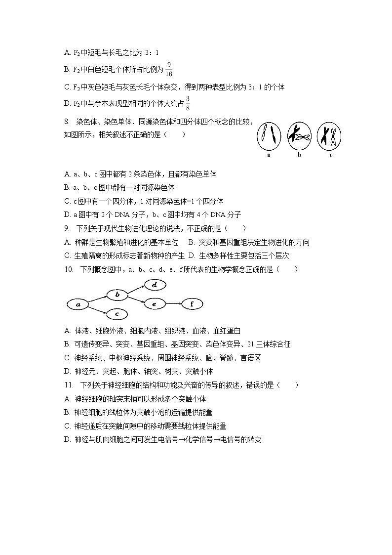 2021-2022学年辽宁省丹东市凤城一中高一（下）月考生物试卷（7月份）（含答案解析）第3页