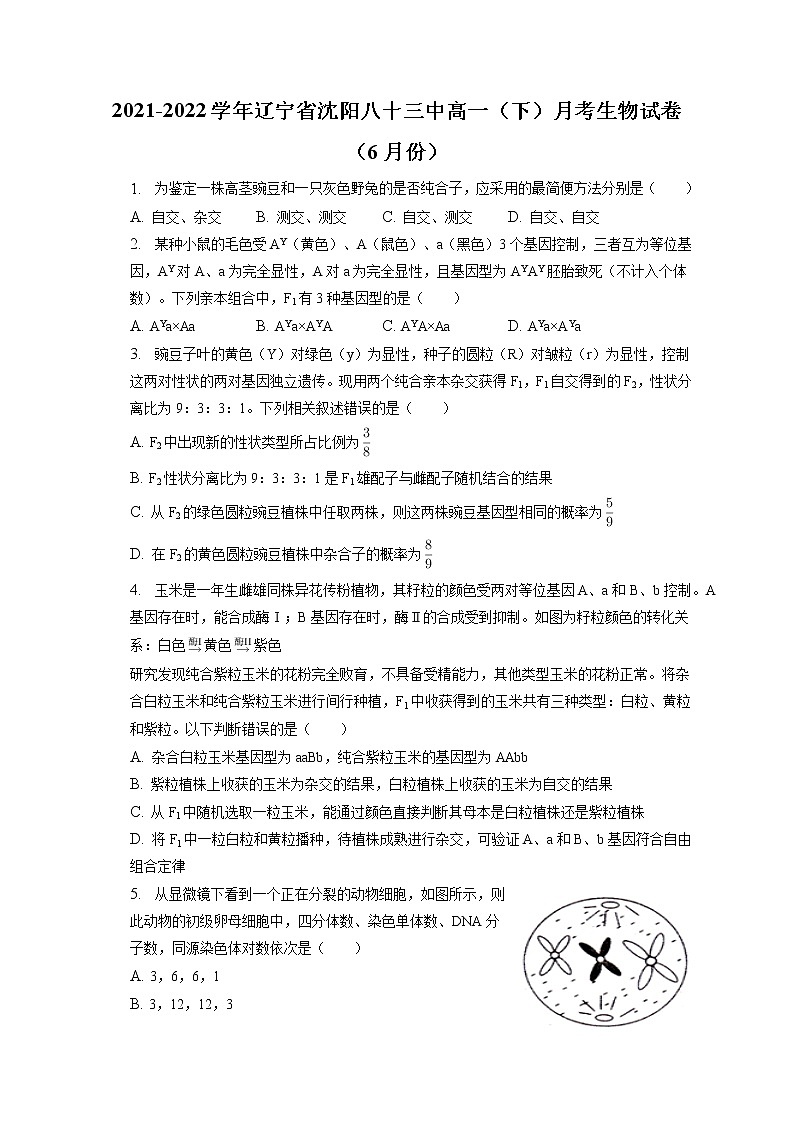 2021-2022学年辽宁省沈阳八十三中高一（下）月考生物试卷（6月份）（含答案解析）第1页