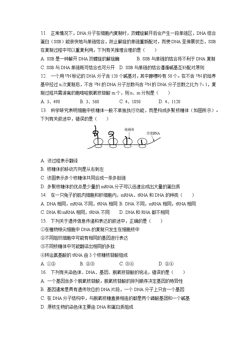 2021-2022学年辽宁省沈阳八十三中高一（下）月考生物试卷（6月份）（含答案解析）第3页