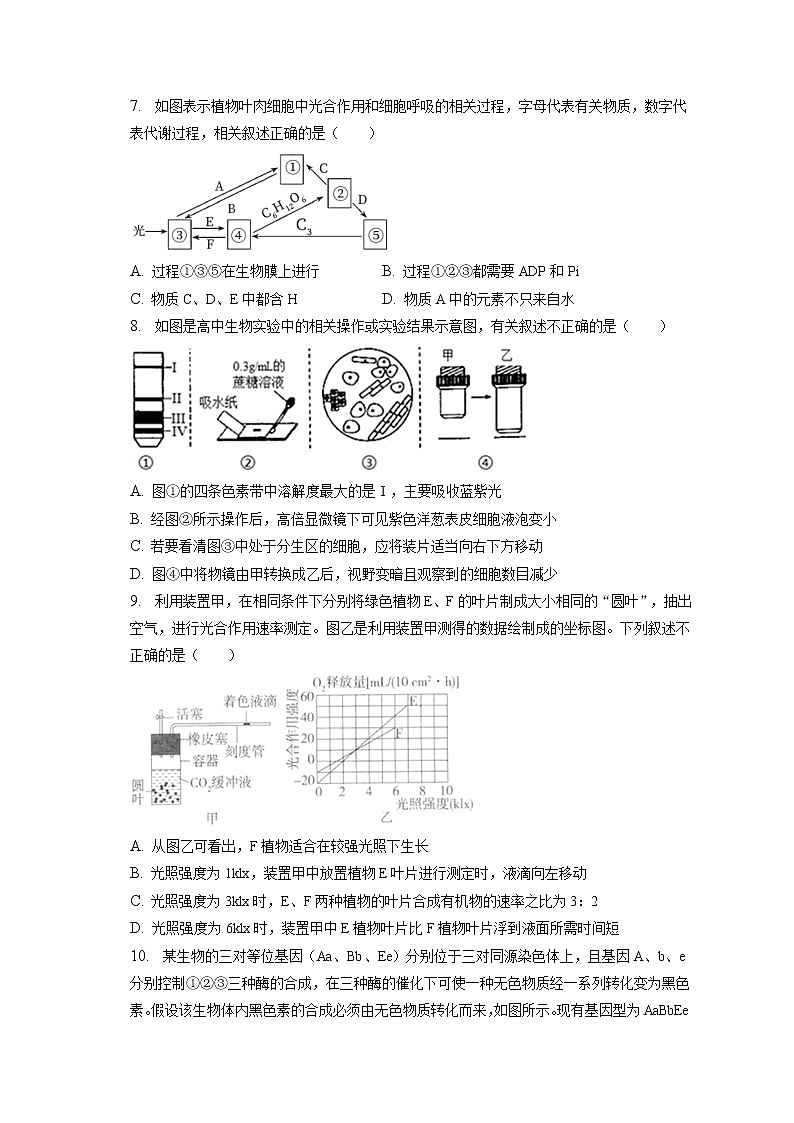 2021-2022学年山西省长治一中高一（下）第四次月考生物试卷（含答案解析）第3页