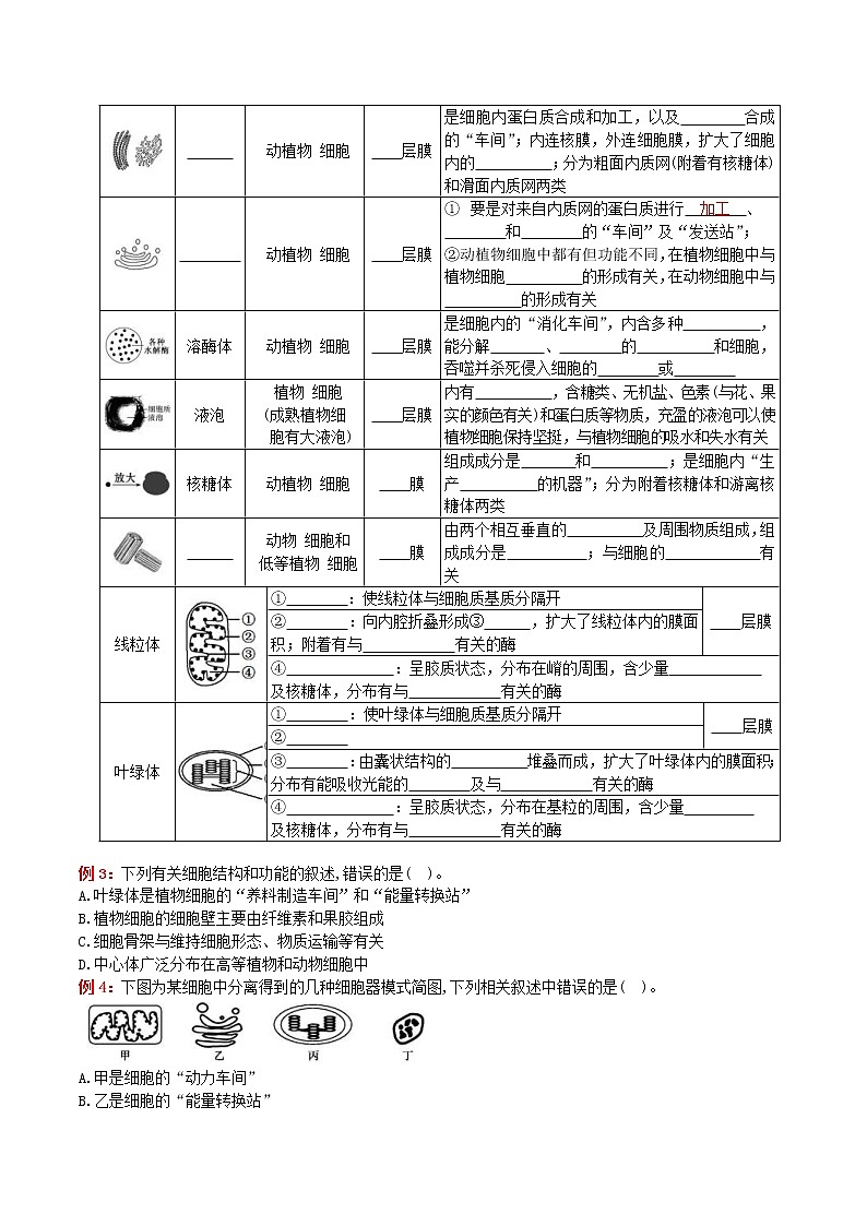2023年高考生物必备知识大串讲专题03 细胞的基本结构 （原卷版）第2页