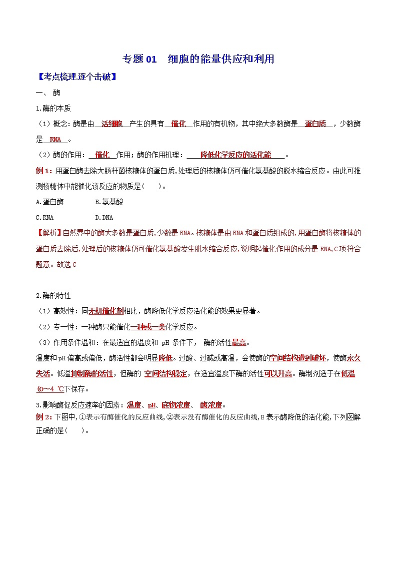 2023年高考生物必备知识大串讲专题05 细胞的能量供应和利用（教师版）第1页