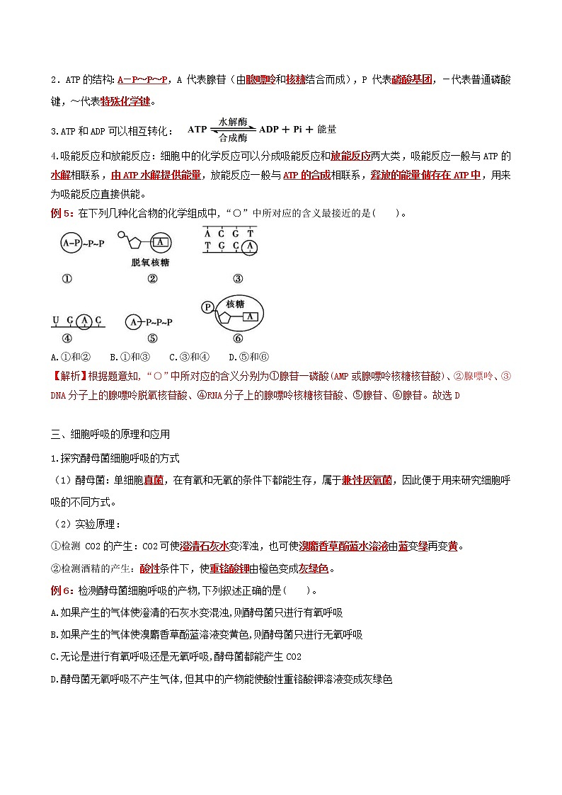 2023年高考生物必备知识大串讲专题05 细胞的能量供应和利用（教师版）第3页