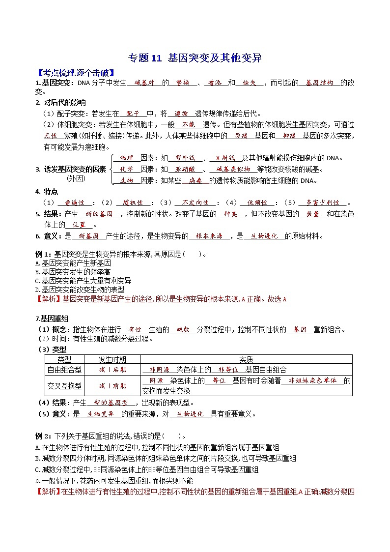 2023年高考生物必备知识大串讲专题11 基因突变及其他变异（教师版）第1页