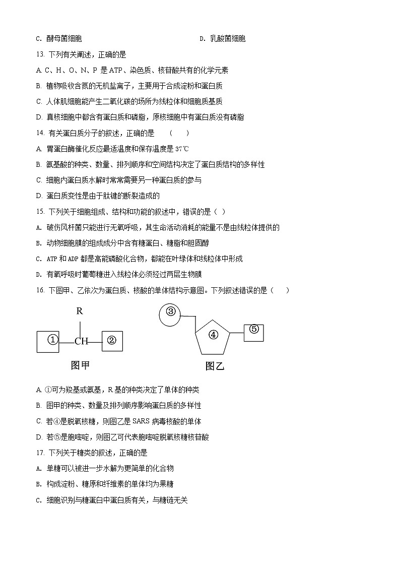 2022成都崇州怀远中学高二下学期期中考试生物试题含解析03