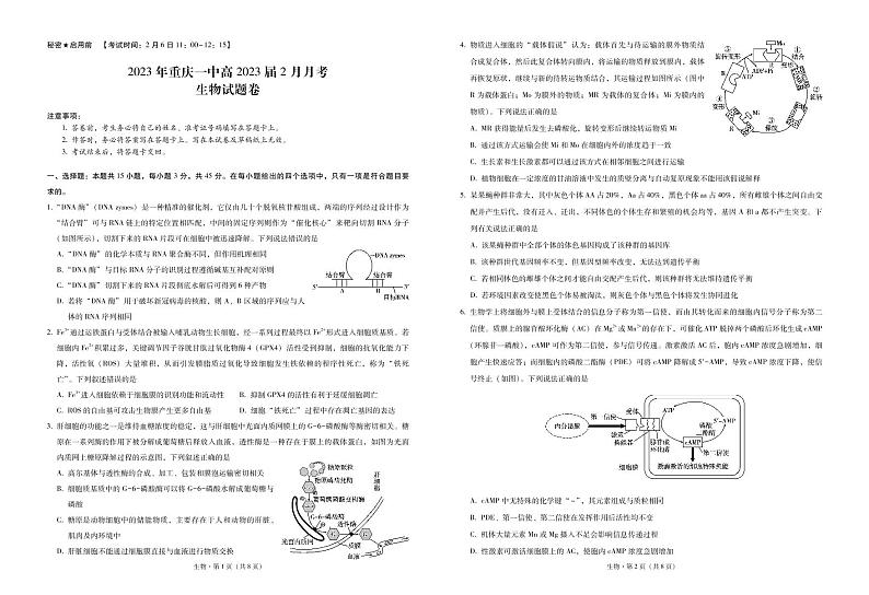 2022-2023学年重庆市第一中学高三下学期2月月考生物试卷PDF版含答案01