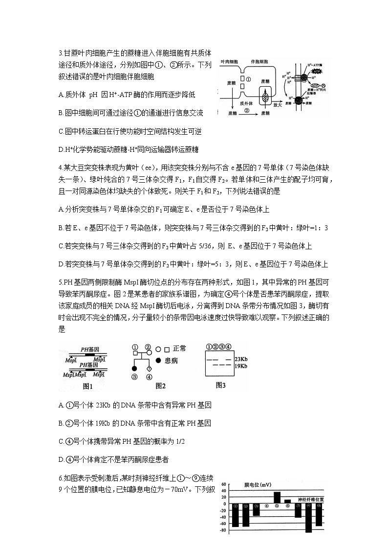 2023届山东省济宁市高三下学期高考模拟考试（一模）生物学试题含答案02
