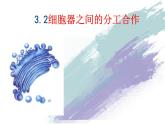 3.2细胞器之间的分工合作课件-2022-2023学年高一上学期生物人教版（2019）必修1