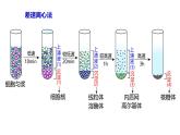 3.2细胞器之间的分工合作课件-2022-2023学年高一上学期生物人教版（2019）必修1