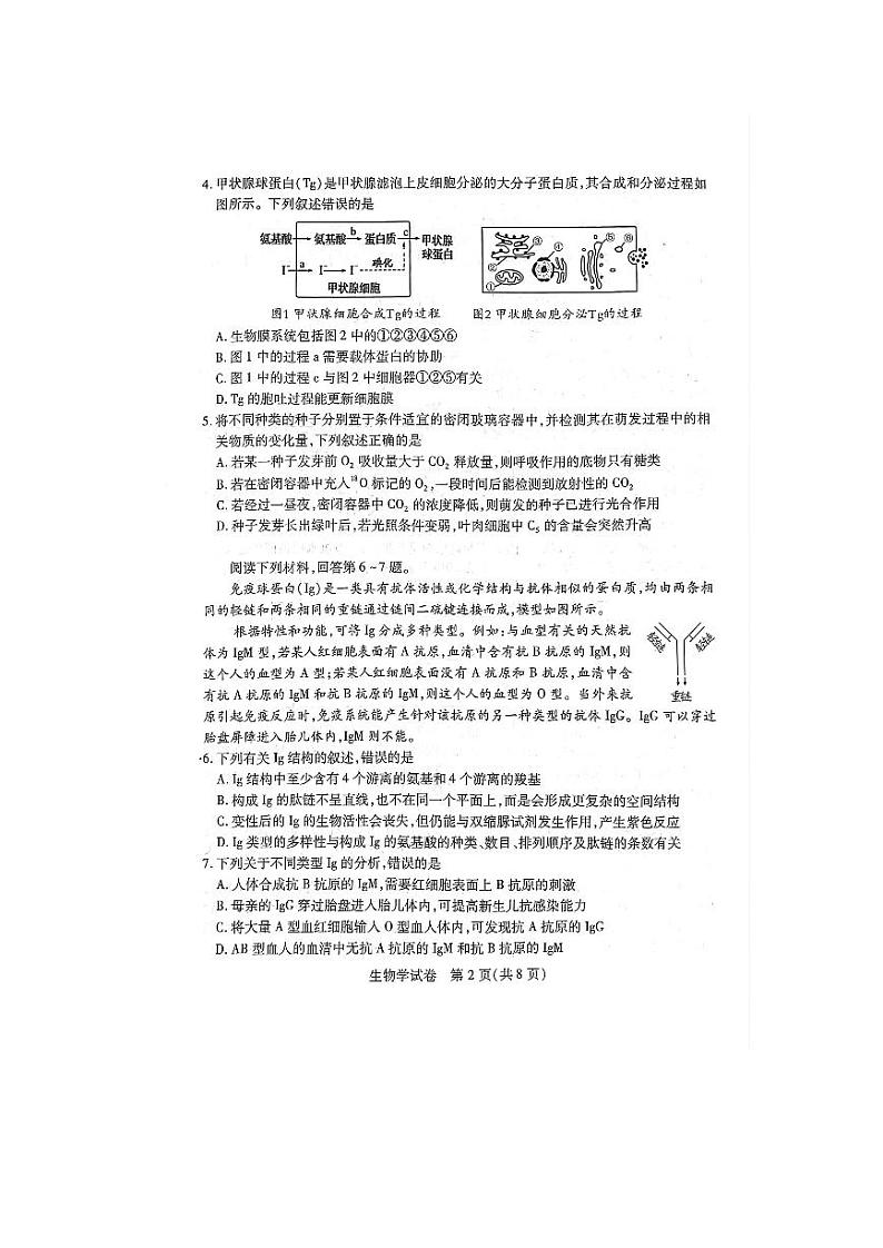 2023届湖北省八市高三（3月）联考生物试题第2页