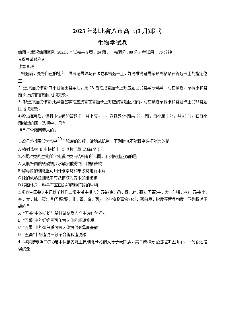 2023届湖北省八市高三（3月）联考生物试题第1页