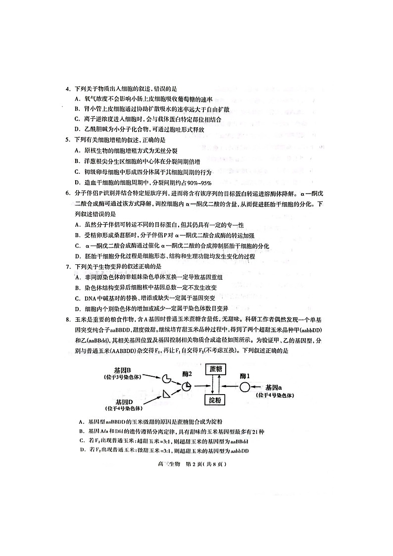 2023石家庄高三下学期3月教学质量检测（一）生物图片版无答案第2页
