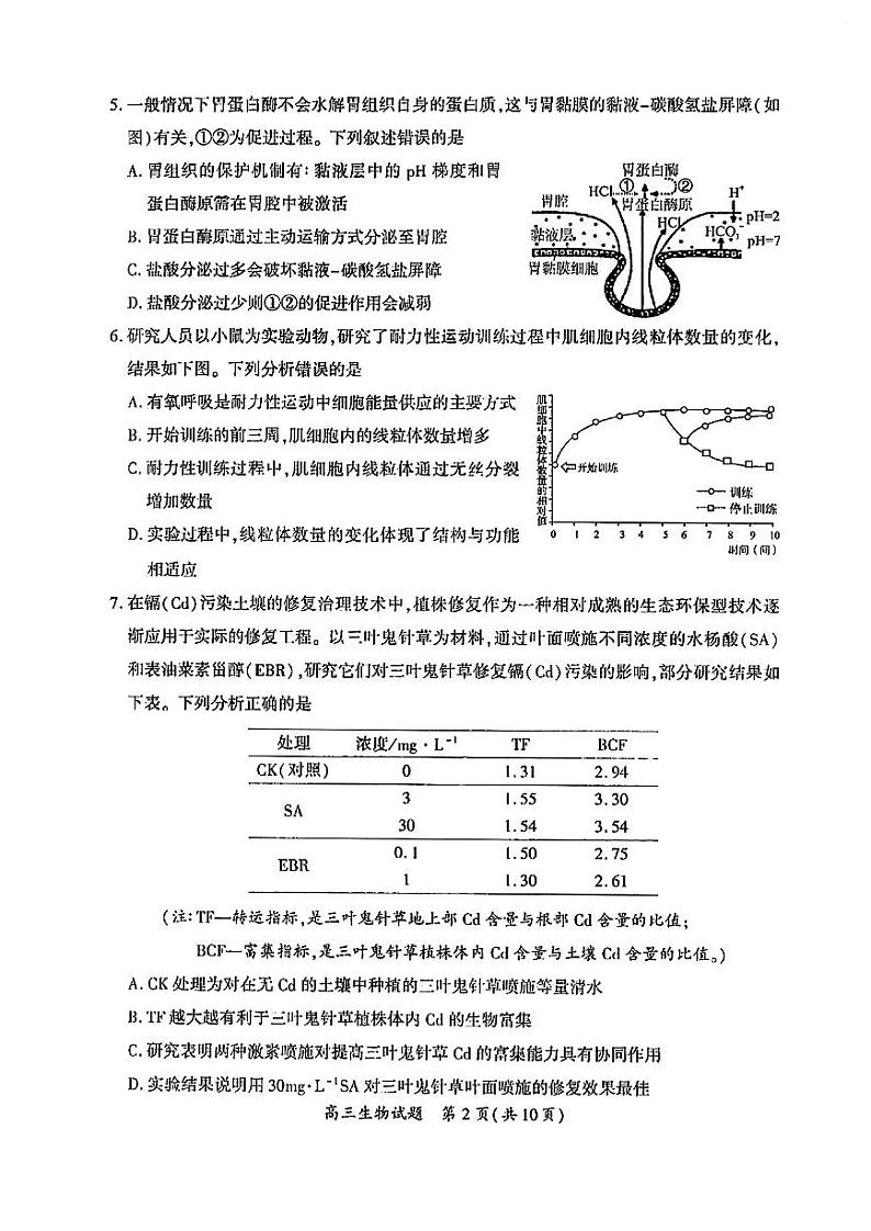 2023厦门高三下学期3月第二次质量检测试题生物PDF版含答案第2页