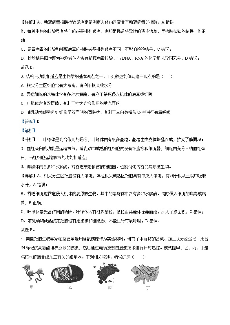宁夏银川市二中2022-2023学年高三上学期统练三生物试题含解析第2页