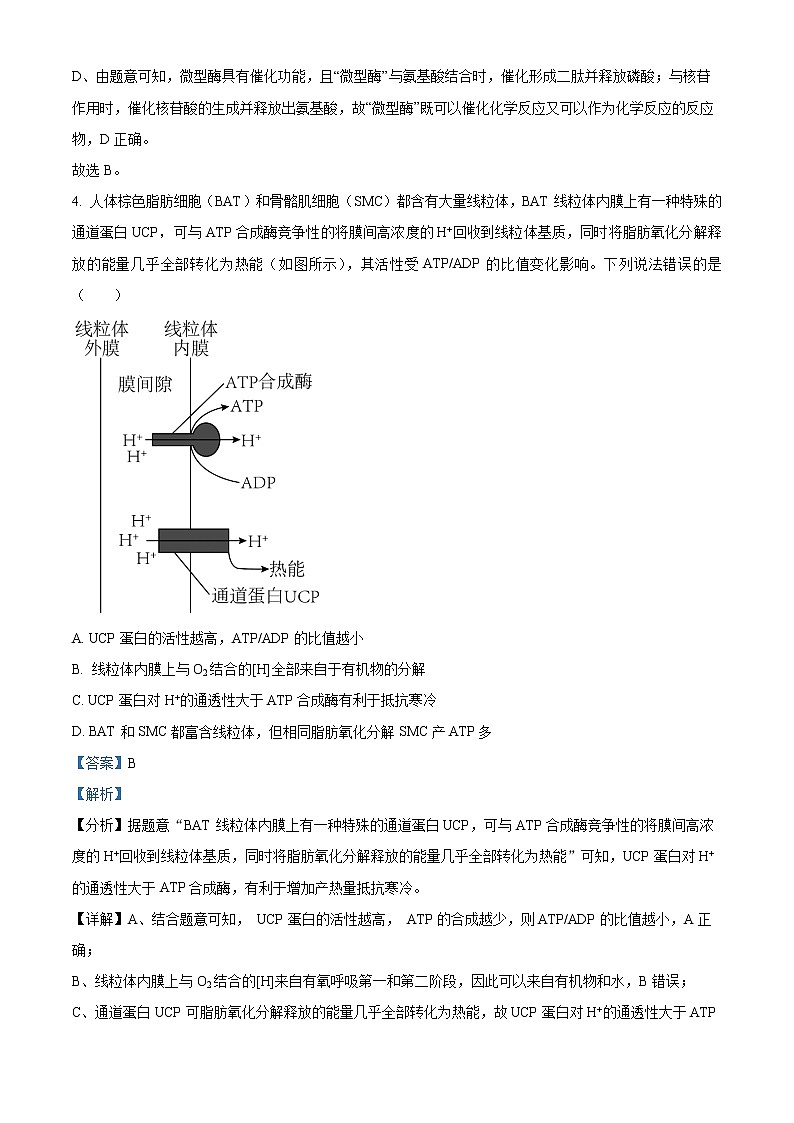 2023赤峰高三上学期期末模拟考试生物含解析03