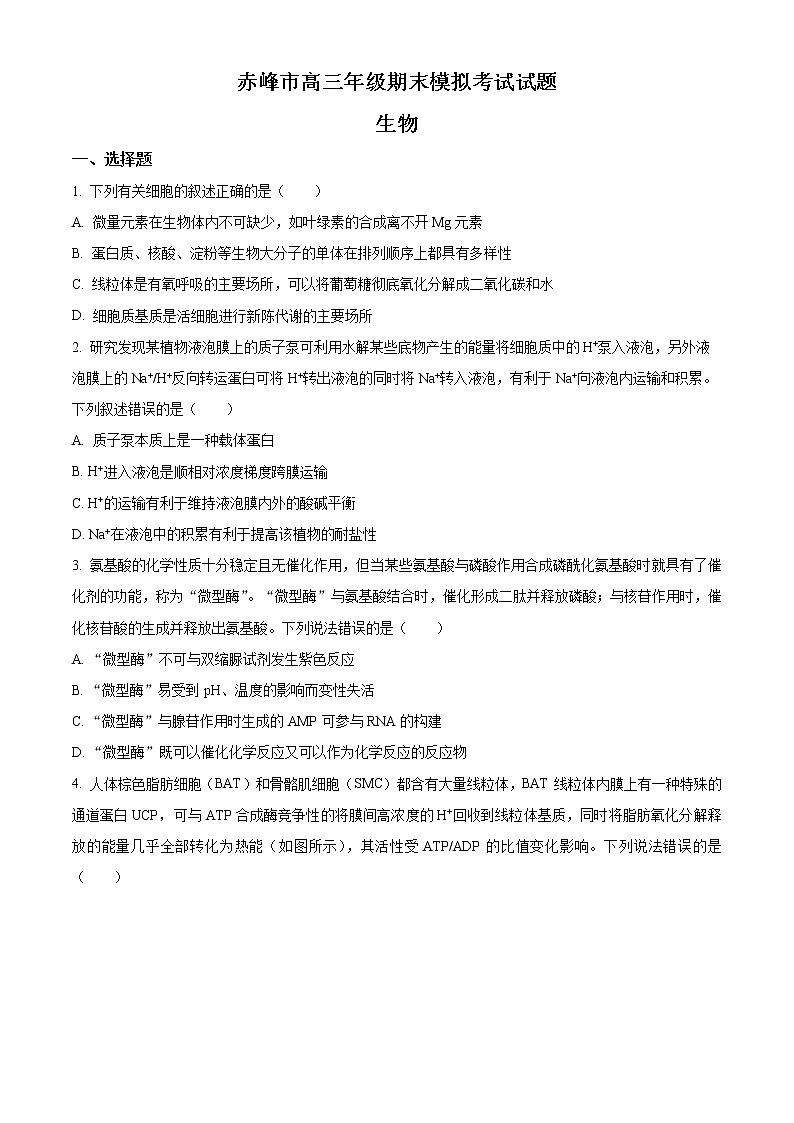 2023赤峰高三上学期期末模拟考试生物含解析01