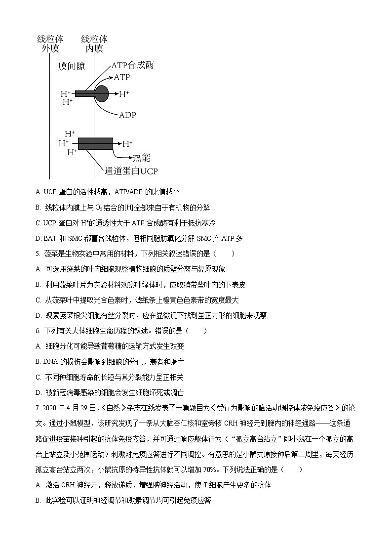 2023赤峰高三上学期期末模拟考试生物含解析02