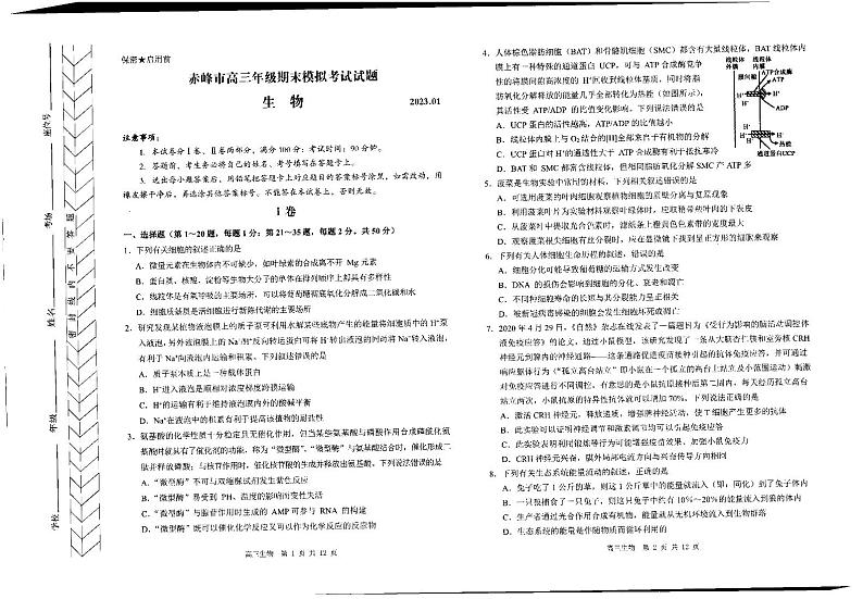 2023赤峰高三上学期期末模拟考试生物PDF版含答案01