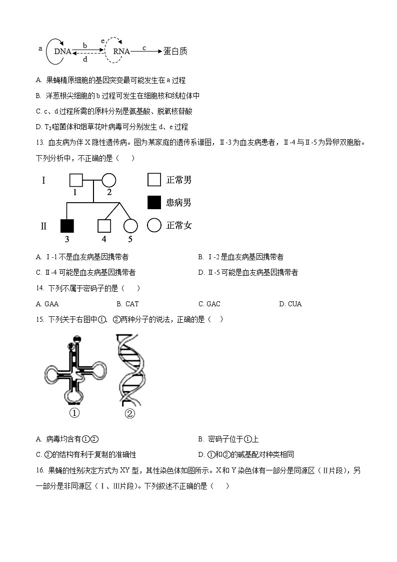 2023银川二中高二上学期期中考试生物试题含解析03