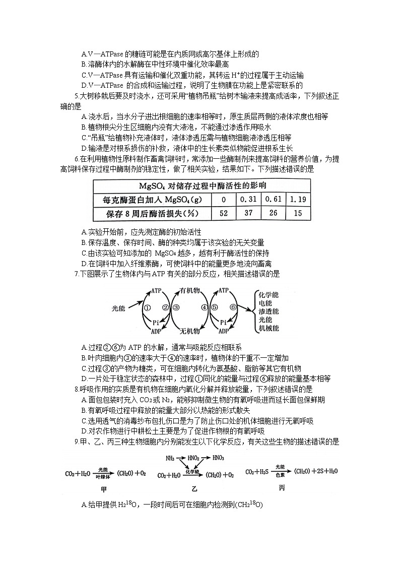 2022-2023学年河南省郑州市高三下学期第一次质量预测（2月月考）生物含答案02