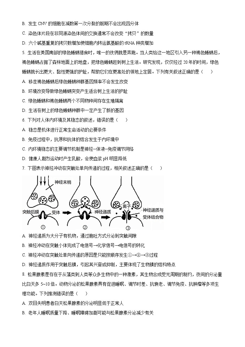 内蒙古阿拉善盟一中2022-2023学年高二上学期期末生物试题无答案第2页