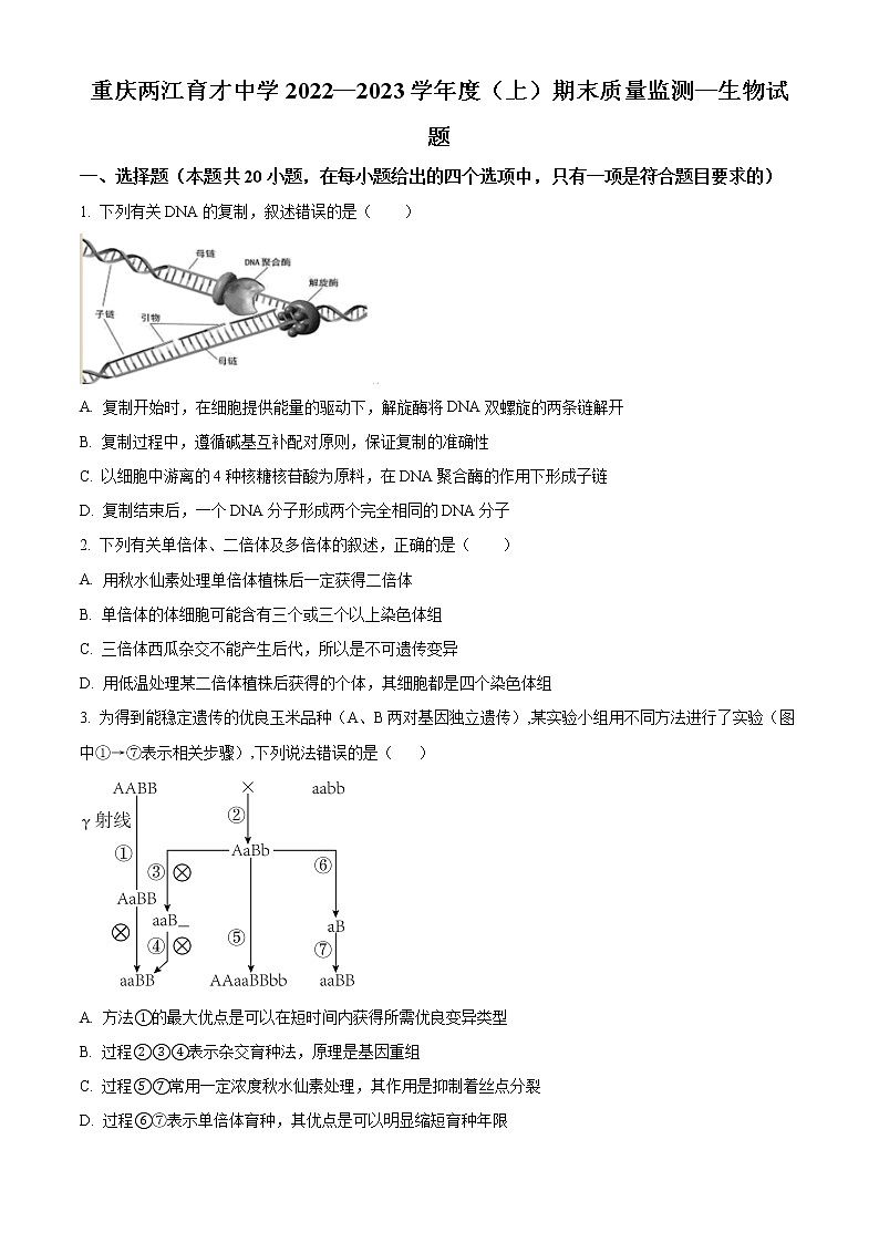 重庆市两江育才中学校2022-2023学年高二上学期期末考试生物试题无答案第1页