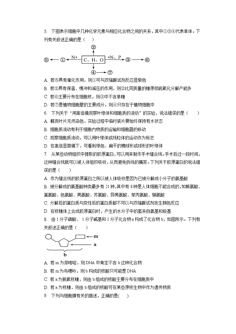 2023滁州定远县育才学校高一下学期开学考试生物含答案02