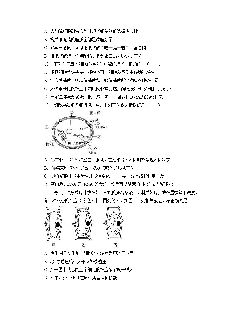 2023滁州定远县育才学校高一下学期开学考试生物含答案03