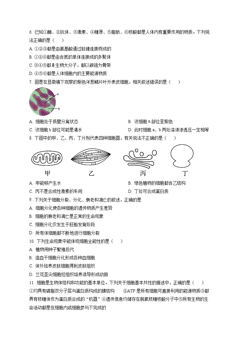 2023天津西青区杨柳青一中高一上学期期末生物考试试题含解析02