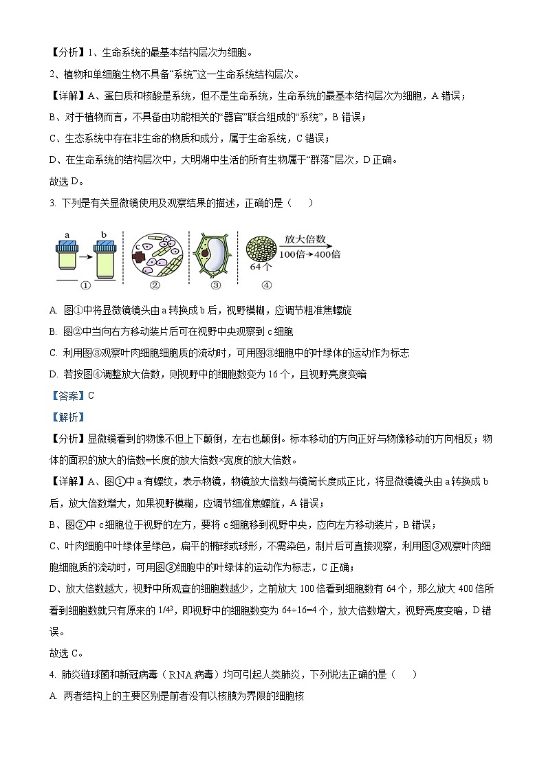 2023重庆市主城区七校高一上学期期末考试生物含解析02