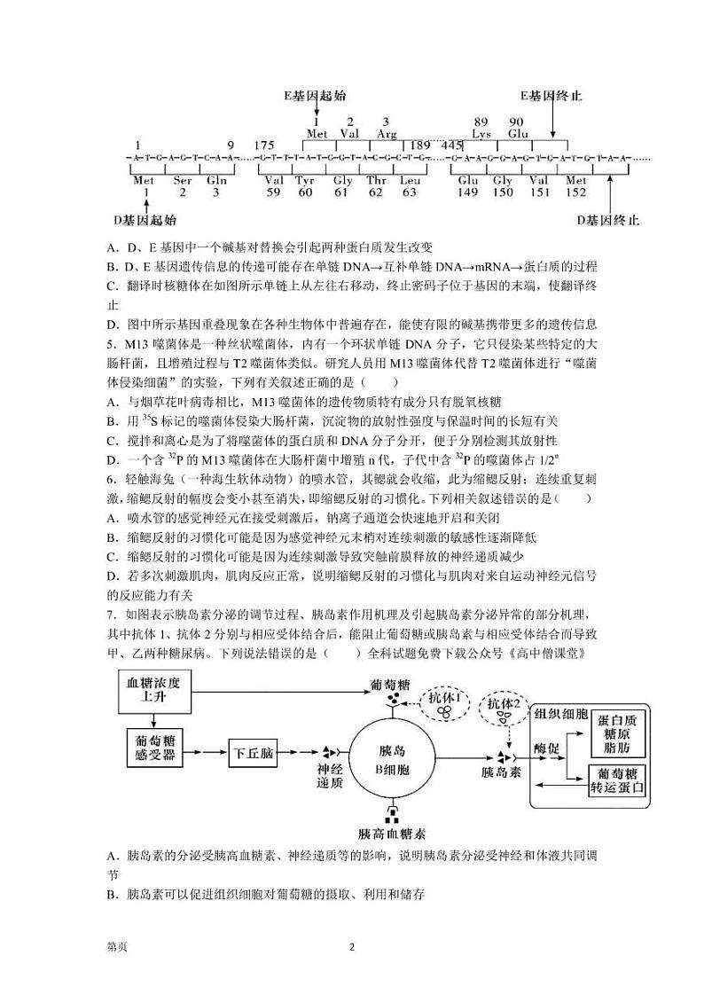 2022-2023学年湖南师范大学附属中学高三下学期考试卷（六）生物PDF版含答案第2页