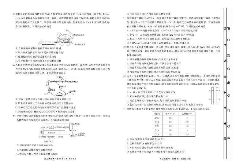 2022-2023学年广东省衡水金卷高三年级2月份大联考（月考）生物试题PDF版含答案02