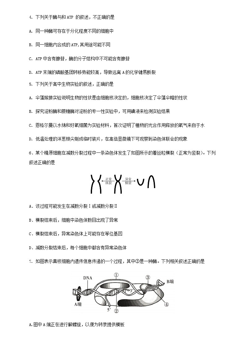 2022-2023学年河北省邢台市一中高三上学期期末考试生物学试题word版含答案02