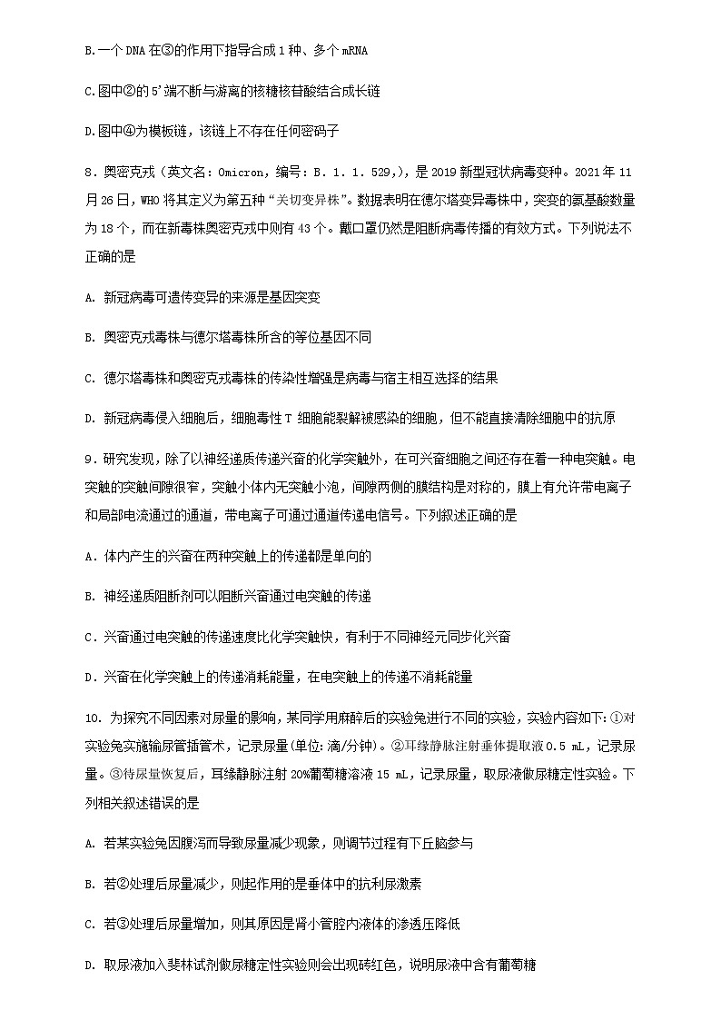 2022-2023学年河北省邢台市一中高三上学期期末考试生物学试题word版含答案03