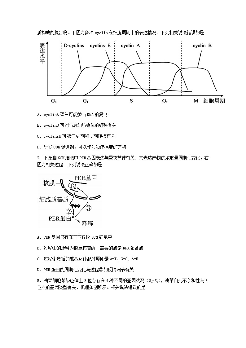 2022-2023学年江苏省南通市如皋市高三上学期期末考试生物试题word版含答案03