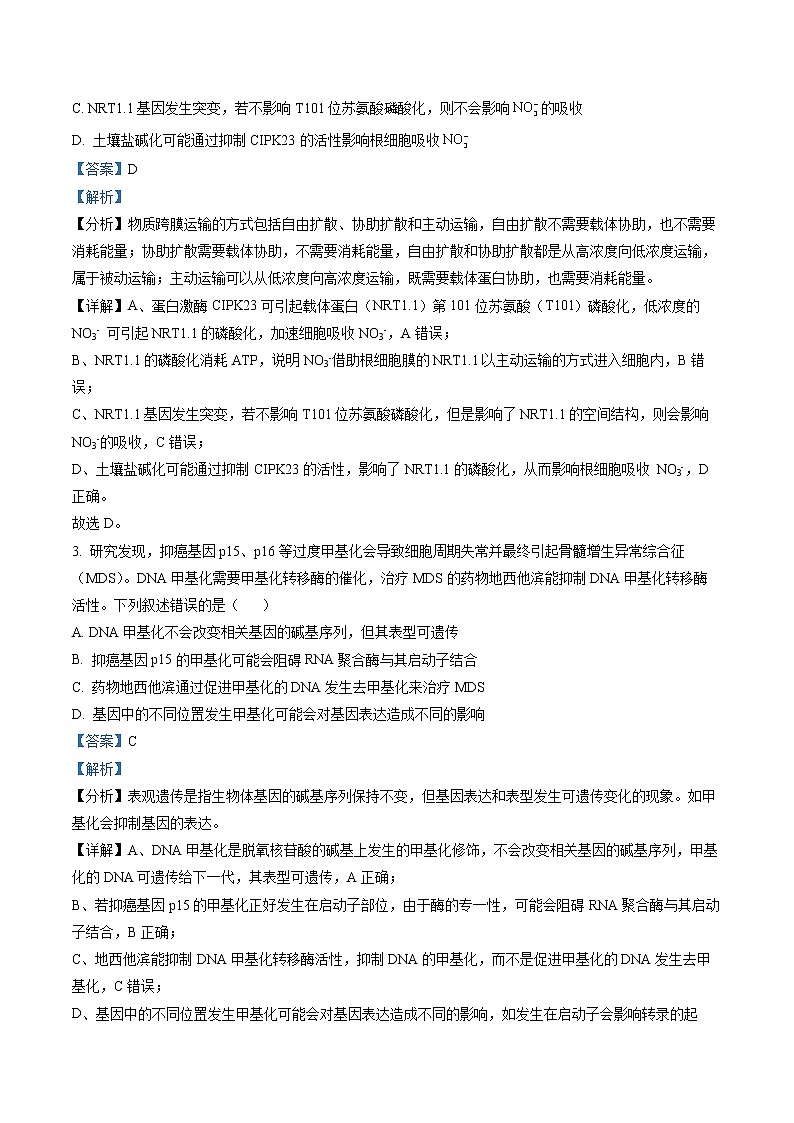 2023届山东省日照市高三一模生物试题（解析版）第2页