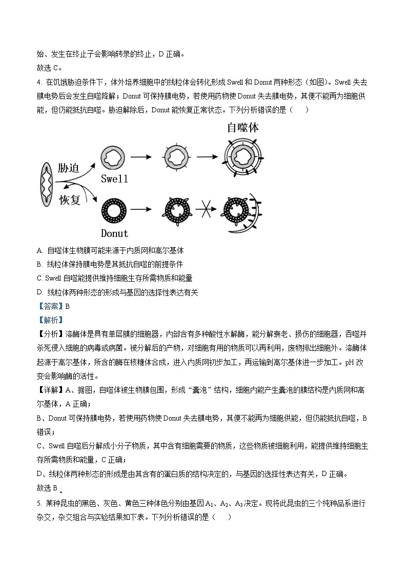 2023届山东省日照市高三一模生物试题（解析版）第3页