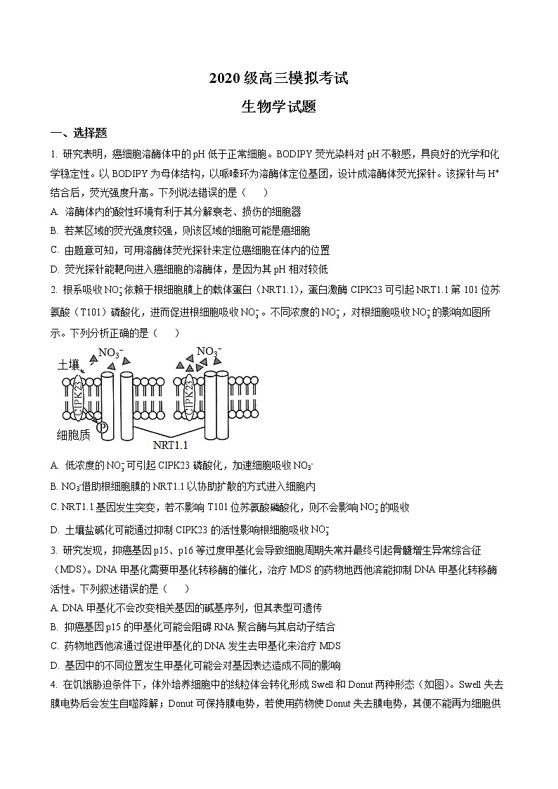 2023届山东省日照市高三一模生物试题（原卷版）第1页