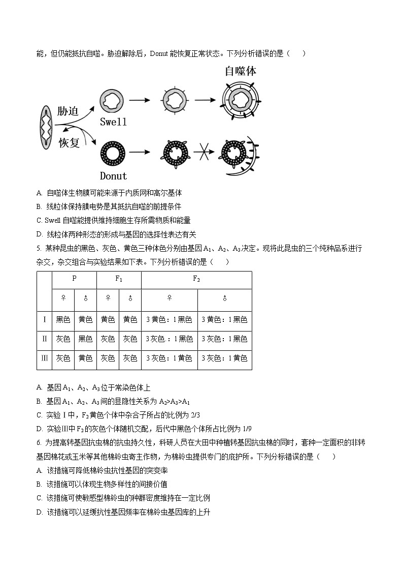 2023届山东省日照市高三一模生物试题（原卷版）第2页