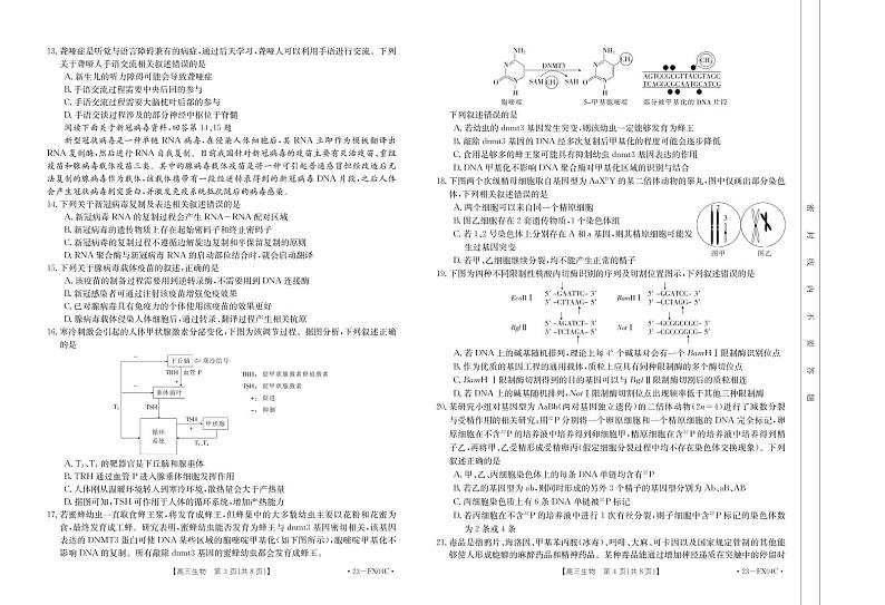 生物FX04C出片第2页