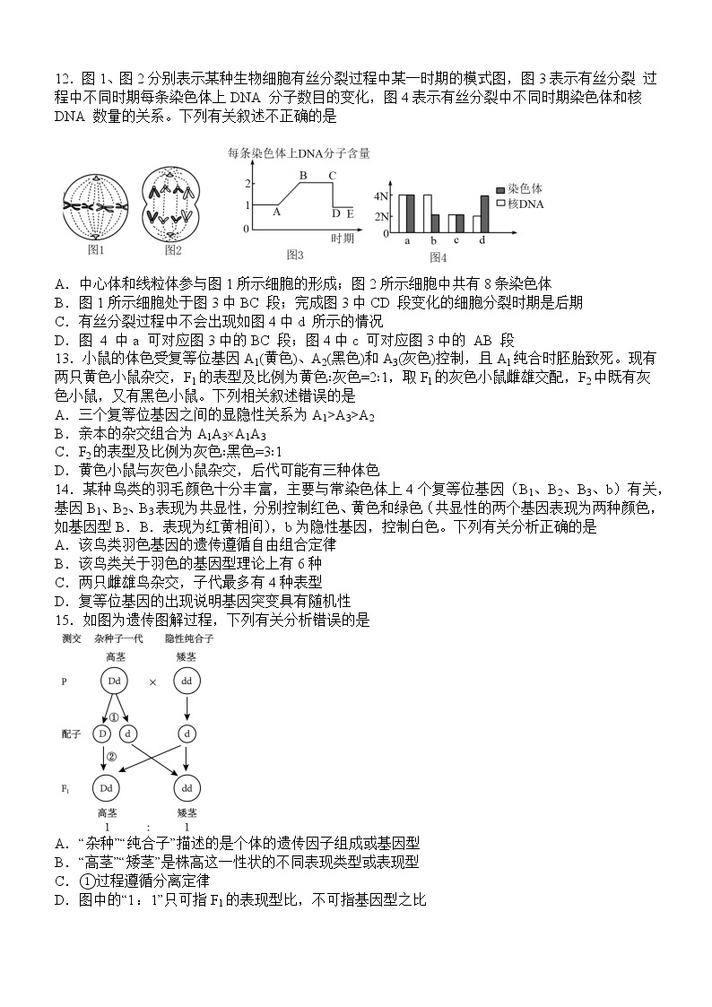 2023泸县五中高一下学期3月月考生物试题含答案03