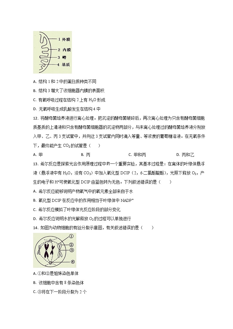 山东省枣庄市2022-2022学年高一上学期期末考试生物试题含答案第3页