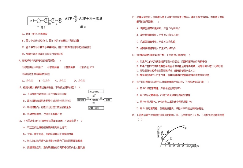 2022-2023学年宁夏回族自治区银川一中高一上学期期末考试生物试题含答案02