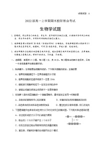 2022-2023学年山东省日照市高一上学期期末考试生物试题含答案