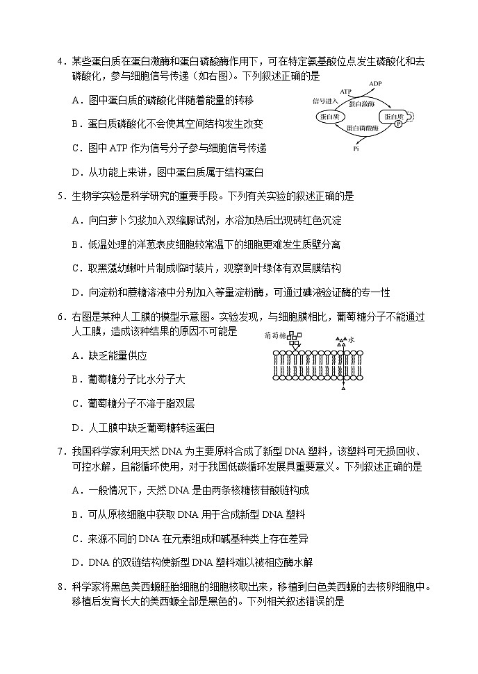 2022-2023学年山东省日照市高一上学期期末考试生物试题含答案第2页