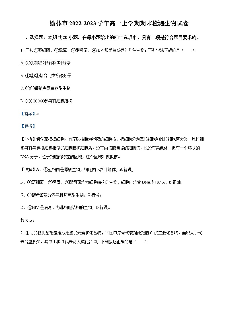 2022-2023学年陕西省榆林市高一上学期期末生物试题含解析01