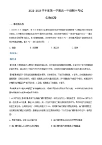 2022-2023学年安徽省六安市一中高一上学期期末生物试题含解析