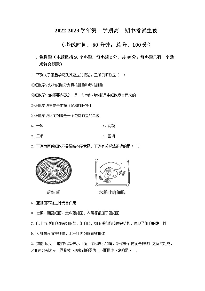 2022~2023学年山西省大同市第一中学高一上学期期中考试生物试卷含答案01