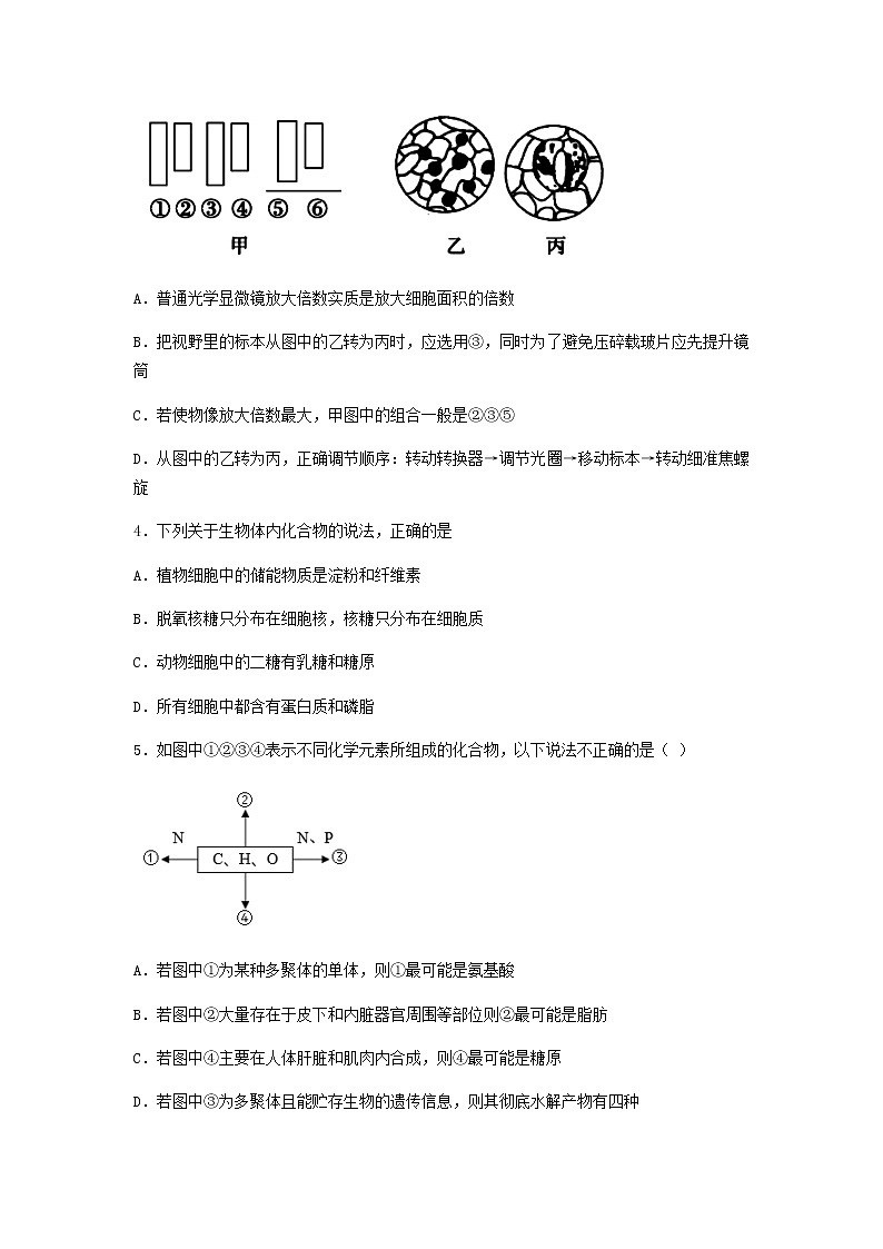 2022~2023学年山西省大同市第一中学高一上学期期中考试生物试卷含答案02